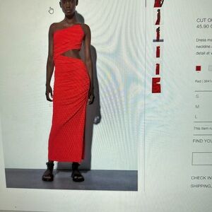 Zara Striking Red Cut-Out Dress
